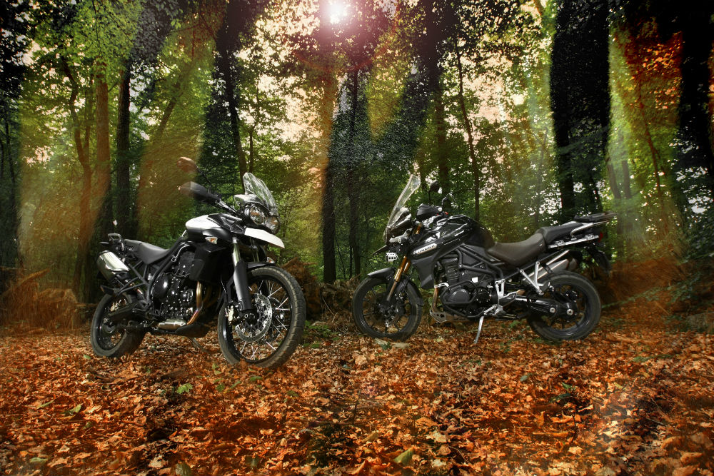 De voordelen en nadelen van een winterstop